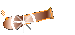 Cannon Logo